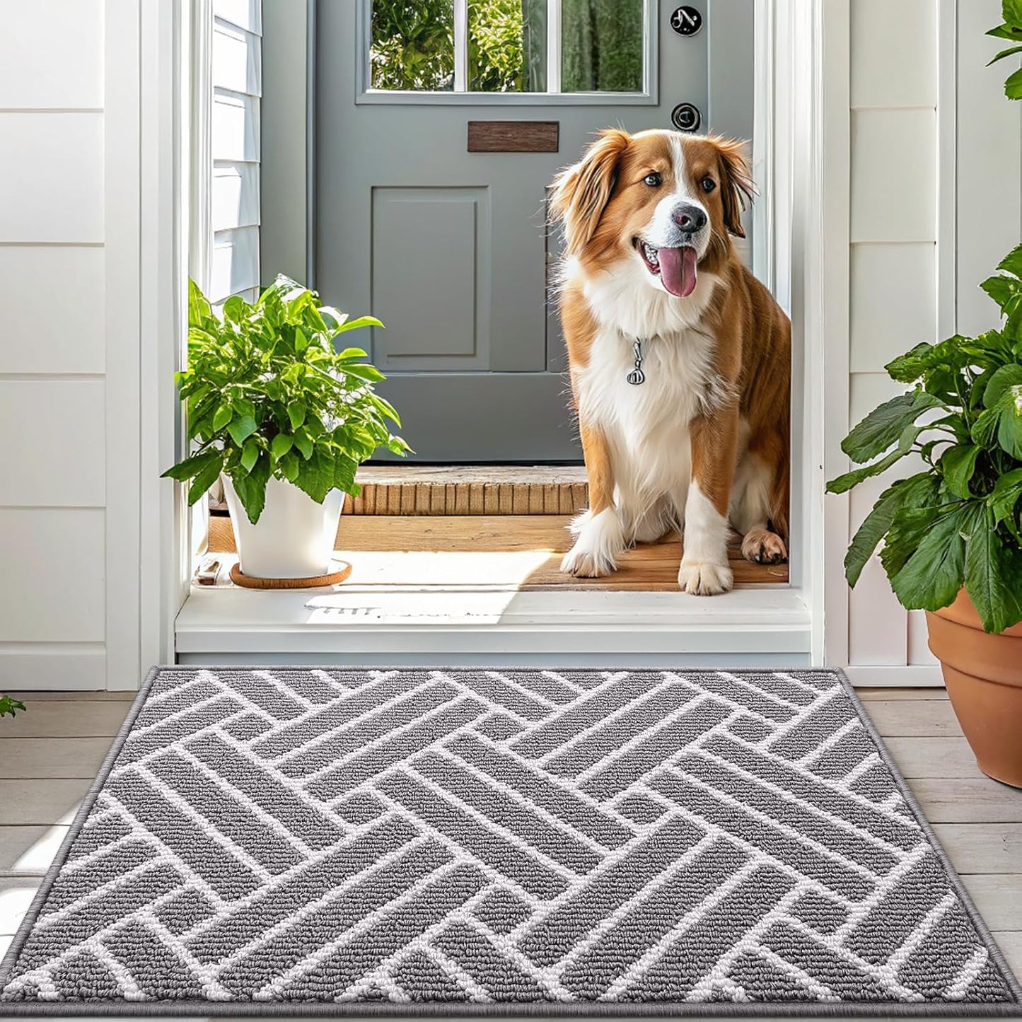 OLANLY Indoor Door Mat, 32x20 Inch, Dirt Resistant and Absorbent, Non-Slip Rubber Backing Floor Mats, Easy Clean Low-Profile Doormat for Entryway, Front Door, and Inside Entrance, Grey
