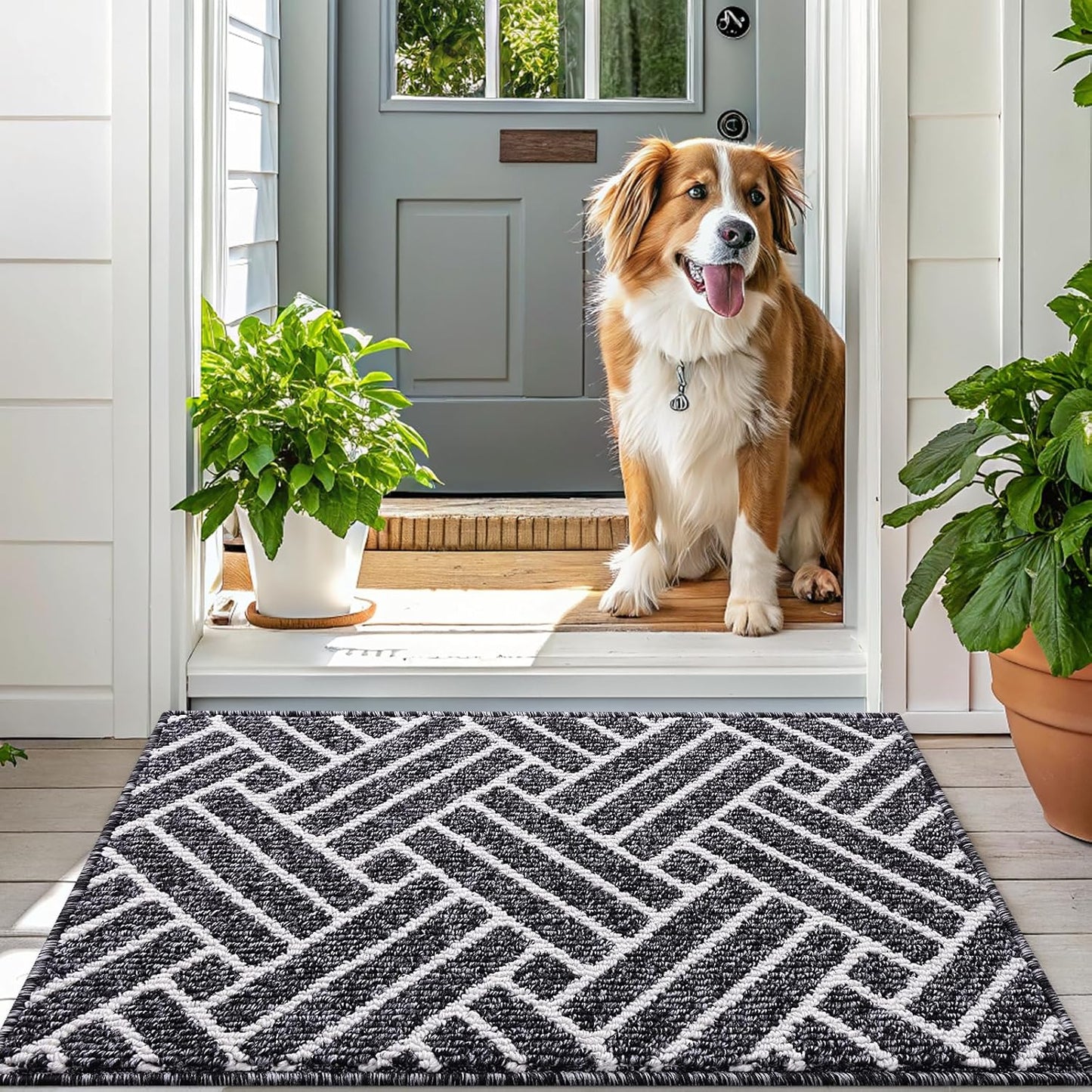 OLANLY Runner Indoor Door Mat, 47x23 Inch, Dirt Resistant and Absorbent, Non-Slip Rubber Backing Floor Mats, Easy Clean Low-Profile Doormat for Entryway, Front Door, and Inside Entrance, Black
