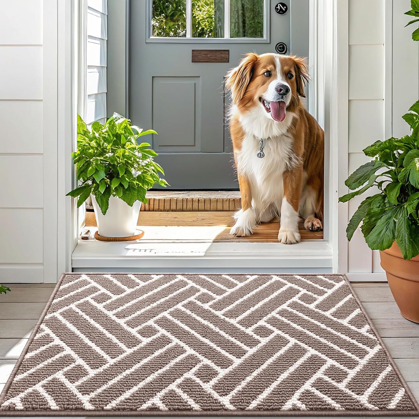 OLANLY Runner Indoor Door Mat, 70x23 Inch, Dirt Resistant and Absorbent, Non-Slip Rubber Backing Floor Mats, Easy Clean Low-Profile Doormat for Entryway, Front Door, and Inside Entrance, Brown