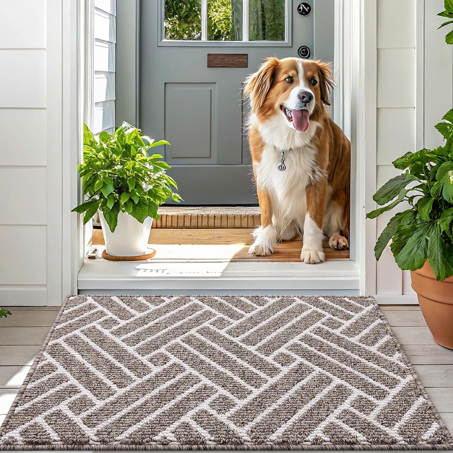 OLANLY Indoor Door Mat, 32x20 Inch, Dirt Resistant and Absorbent, Non-Slip Rubber Backing Floor Mats, Easy Clean Low-Profile Doormat for Entryway, Front Door, and Inside Entrance, Khaki