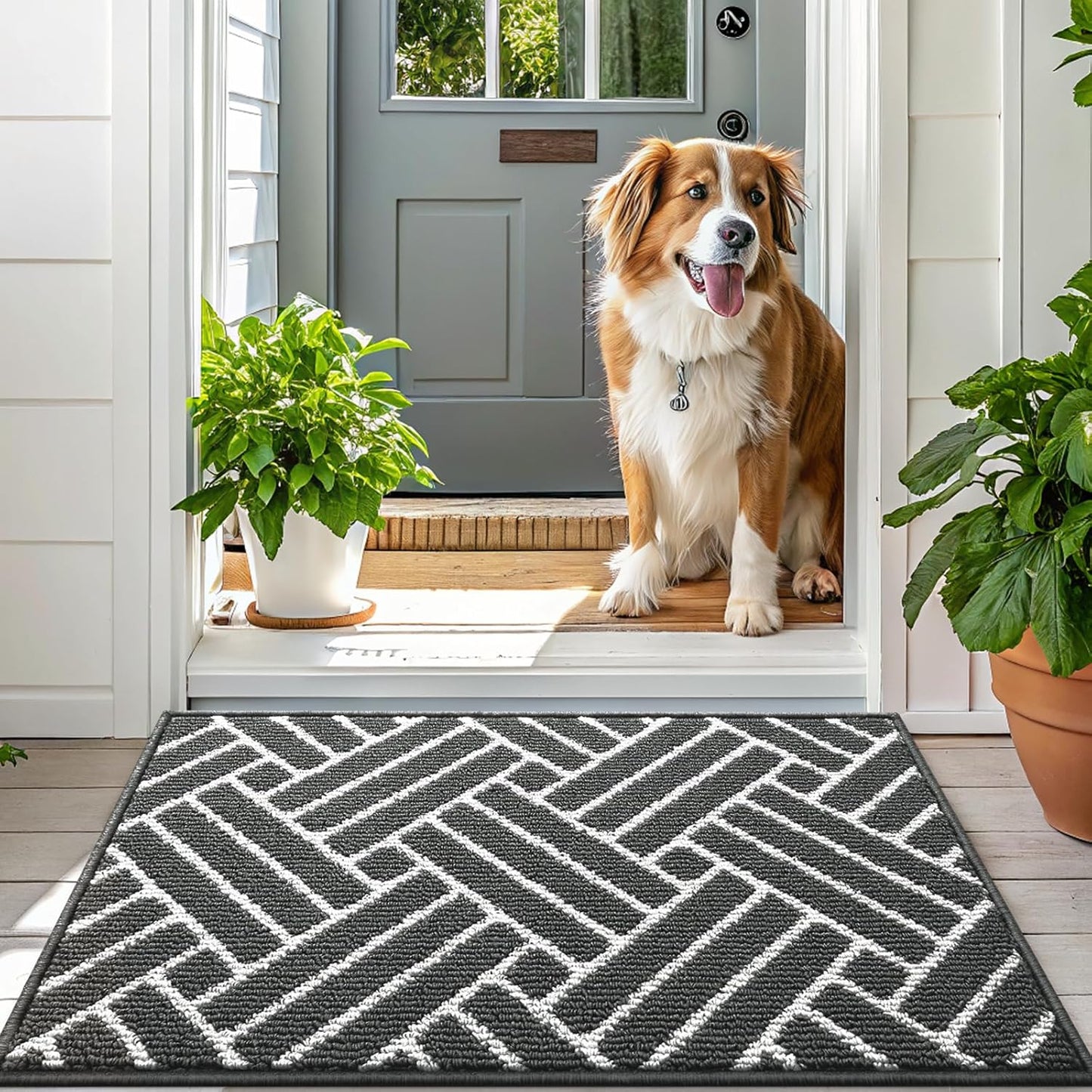 OLANLY Indoor Door Mat, 32x20 Inch, Dirt Resistant and Absorbent, Non-Slip Rubber Backing Floor Mats, Easy Clean Low-Profile Doormat for Entryway, Front Door, and Inside Entrance, Charcoal