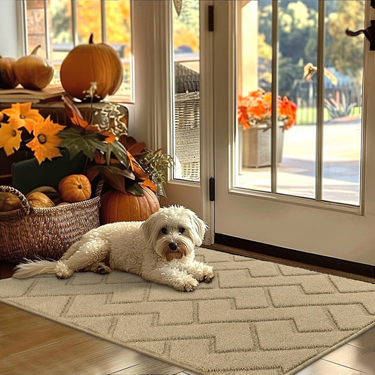 hicorfe Indoor Door Mat,Non Slip Door Mats,32"x48" Front Back Door Mat Rubber Backing,Absorbent Resist Dirt Entrance Inside Floor Mats for Entryway Washable Low-Profile(Beige)