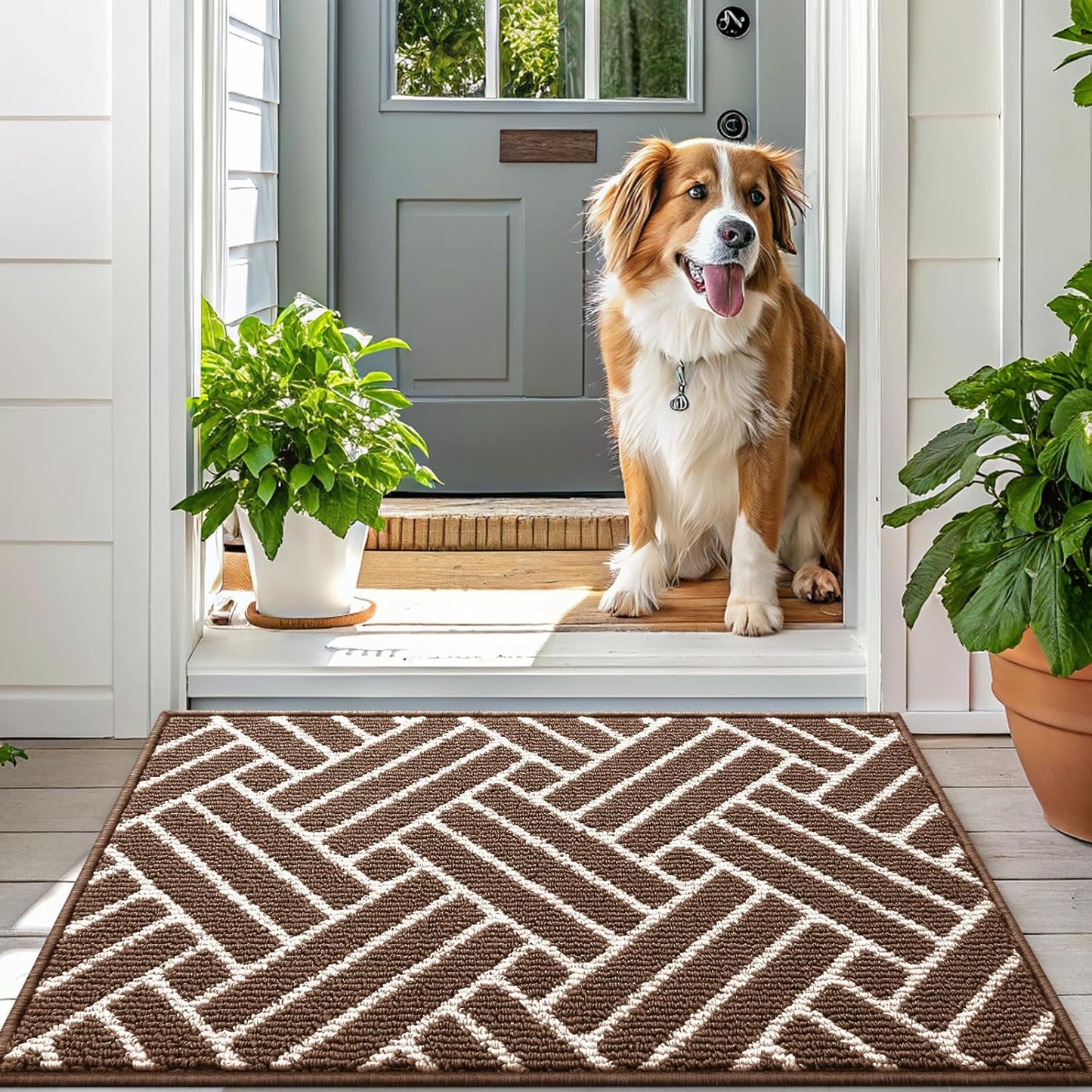OLANLY Indoor Door Mat, 48x32 Inch, Dirt Resistant and Absorbent, Non-Slip Rubber Backing Floor Mats, Easy Clean Low-Profile Doormat for Entryway, Front Door, and Inside Entrance, Coffee