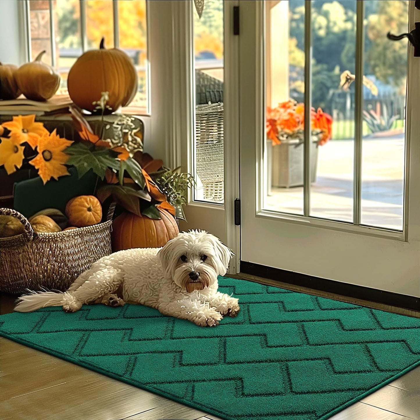 hicorfe Indoor Door Mat,Non Slip Door Mats,32"x48" Front Back Door Mat Rubber Backing,Absorbent Resist Dirt Entrance Inside Floor Mats for Entryway Washable Low-Profile(Evergreen)