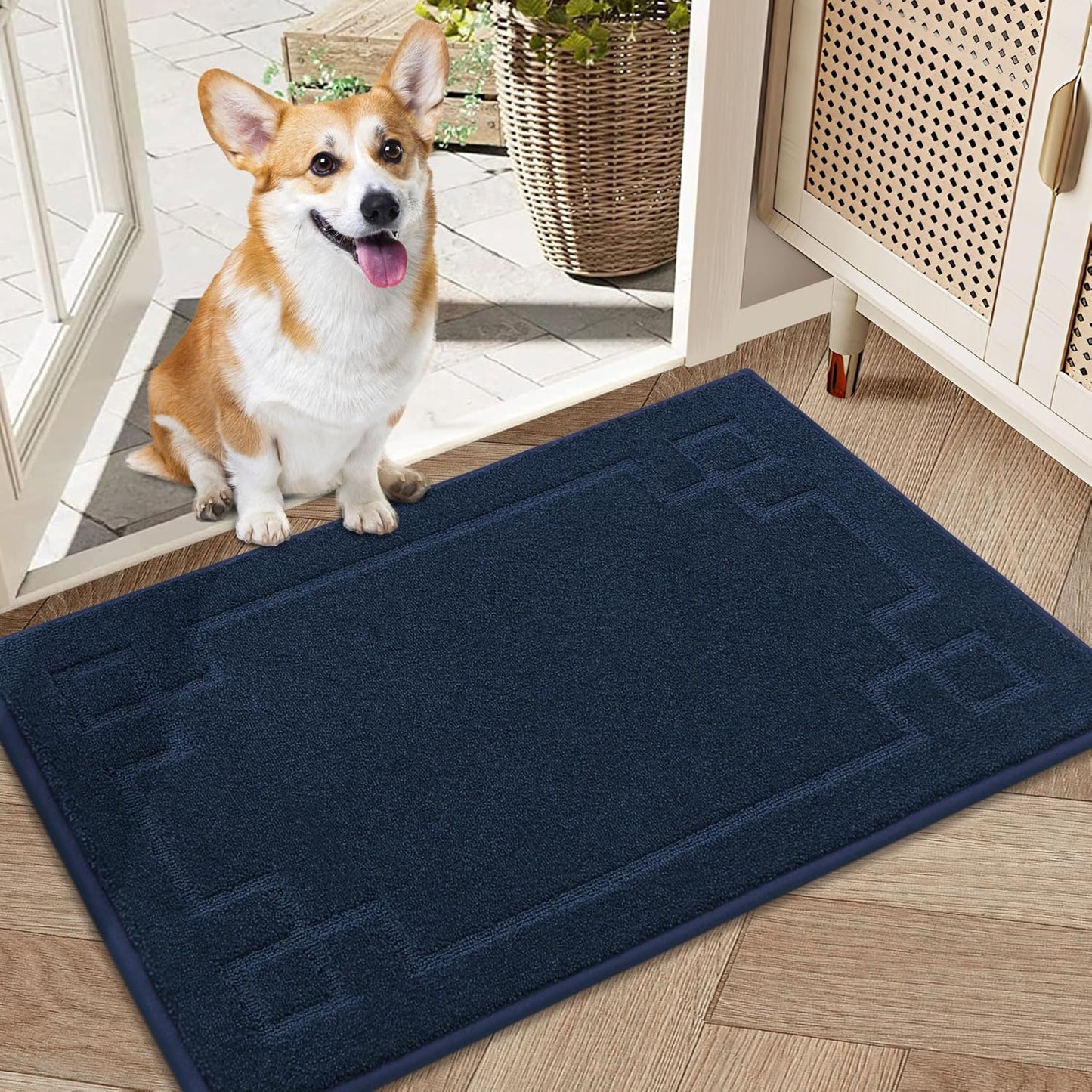 BEQHAUSE Door Mat 20" x 32", Non-Slip Door Mats Indoor Entryway Rugs Washable Low-Profile Absorbent and Stain Resist Floor Mats, Dog Door Mat for Front Back Door, Muddy Wet Shoes & Paws, Navy Blue