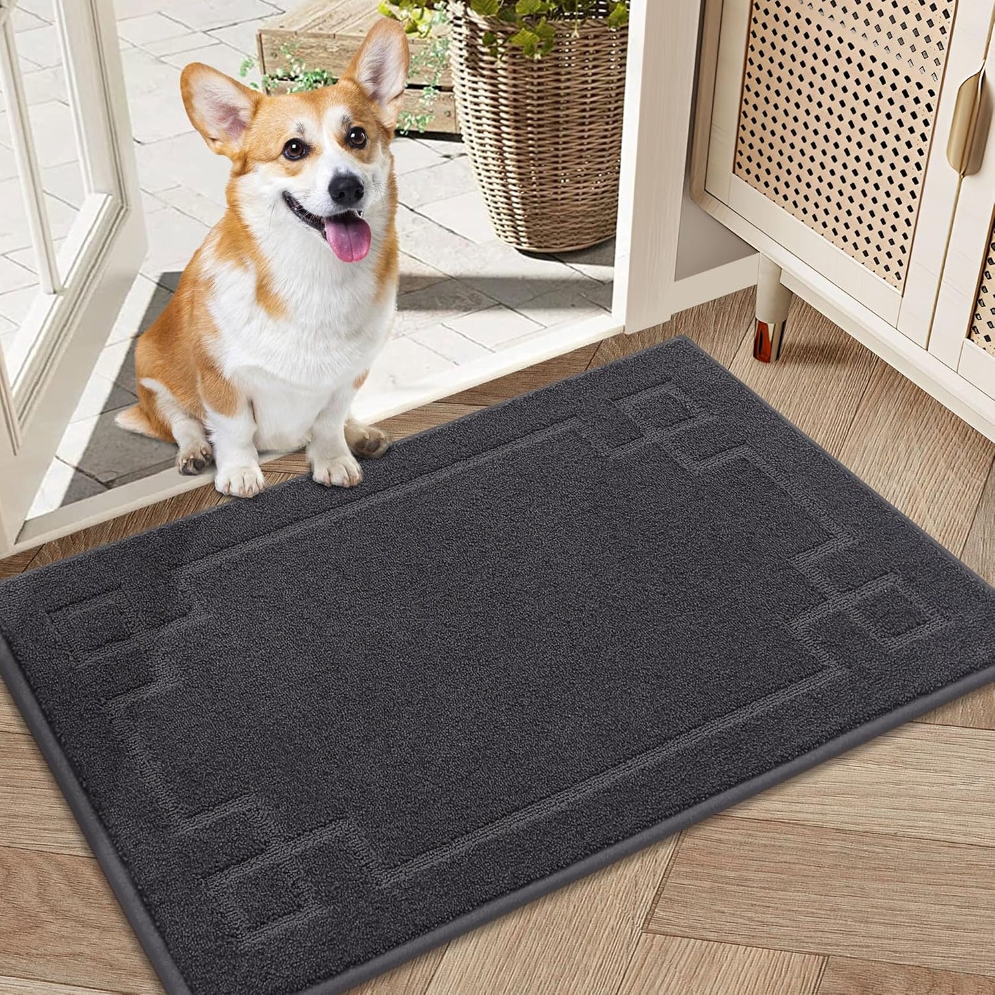 BEQHAUSE Door Mat 20" x 32", Non-Slip Door Mats Indoor Entryway Rugs Washable Low-Profile Absorbent and Stain Resist Floor Mats, Dog Door Mat for Front Back Door, Muddy Wet Shoes & Paws, Dark Grey