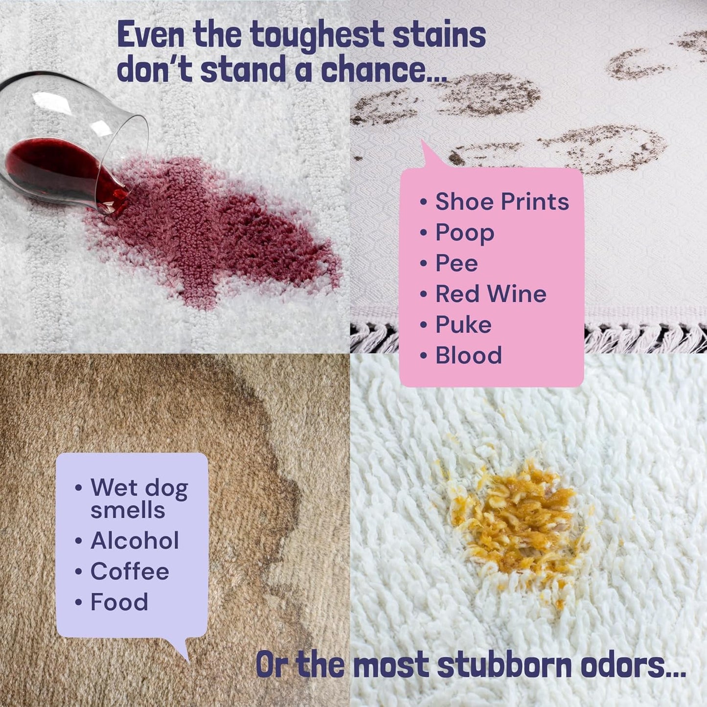 Sunny & Honey Carpet Cleaner Solution - 32 Fl Oz, Light Lavender - Deep Stain Remover & Odor Deodorizer - Pet Carpet Cleaner & Rug Shampoo